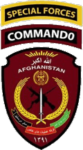 [Commando brigade (Afghanistan)]